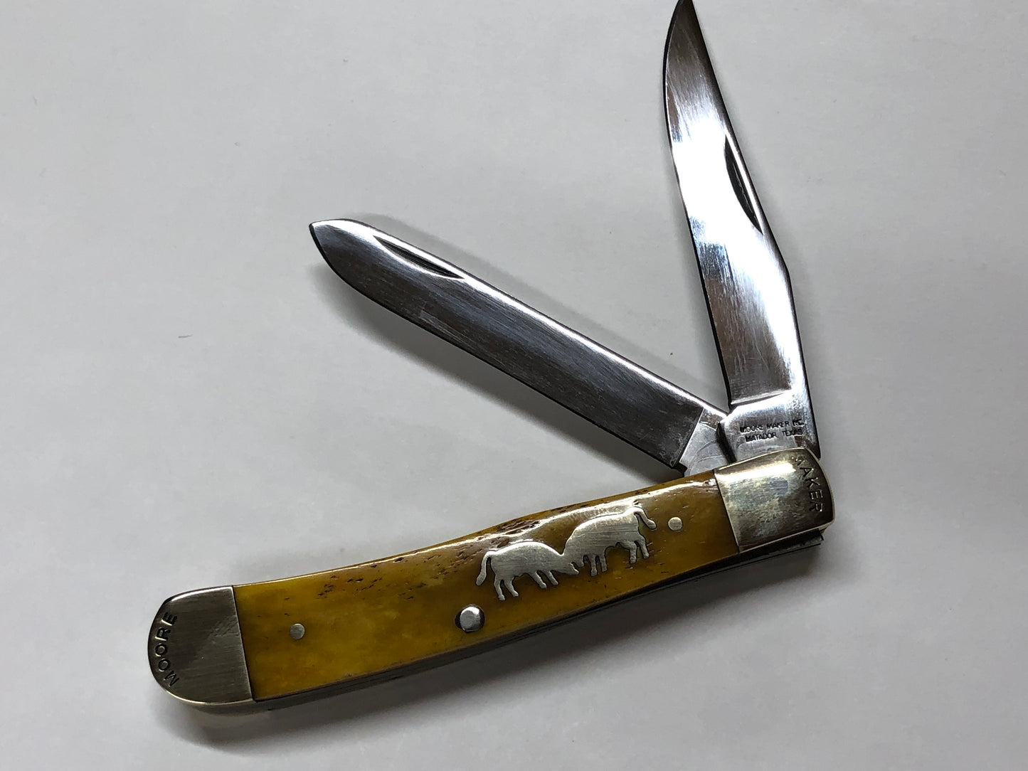 Mooremaker Fighting Bulls Trapper